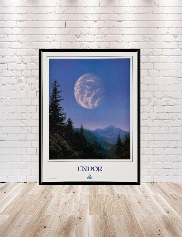 Endor Poster Vintage Star tours Poster Sizes 8x10 11x14 13x19 16x20 18x24 Hollywood Studios Poster Star Wars Poster Vintage Disney Poster Online now