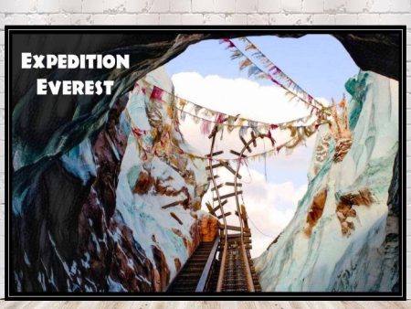 Expedition Everest Poster Animal Kingdom Attraction Disney Attraction Wall Art For Sale