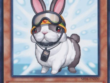 Rescue Rabbit [SR04-EN020] Common For Discount